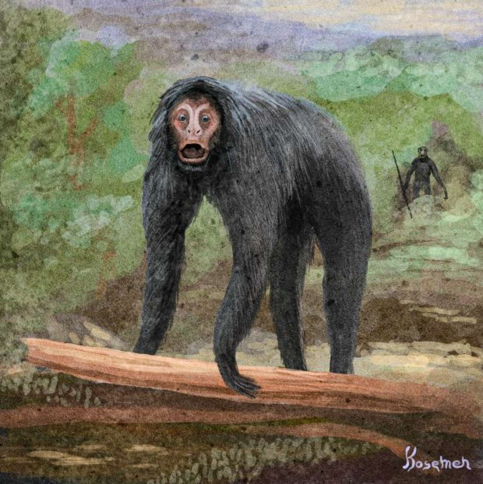 Una interpretación especulativa del evento, el otro primate representado en la espalda con una herramienta (arte de Kosemen)