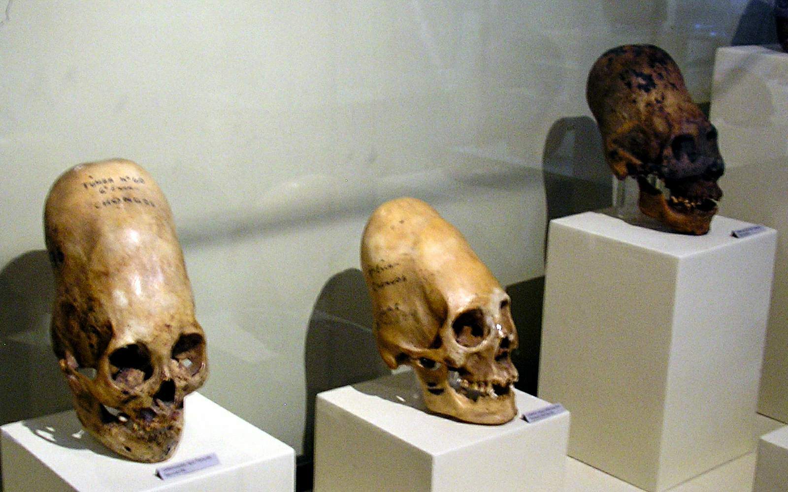 ¡Hace 12,000 años, China estaba habitada por personas misteriosas con cabeza de roble!  2